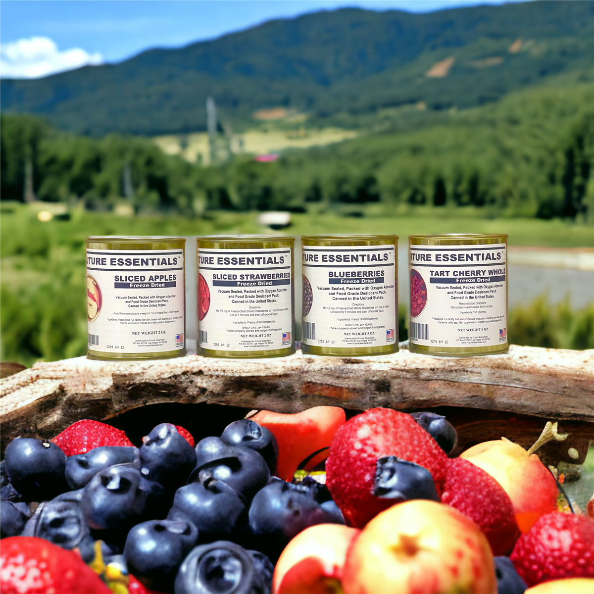 Case (12 Cans) of Future Essentials Freeze Dried Fruit Variety — view 8