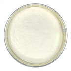 Future Essentials Powdered Instant Non Fat Dry Milk