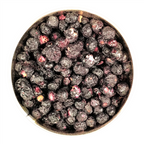 Future Essentials Freeze Dried Whole Blueberries