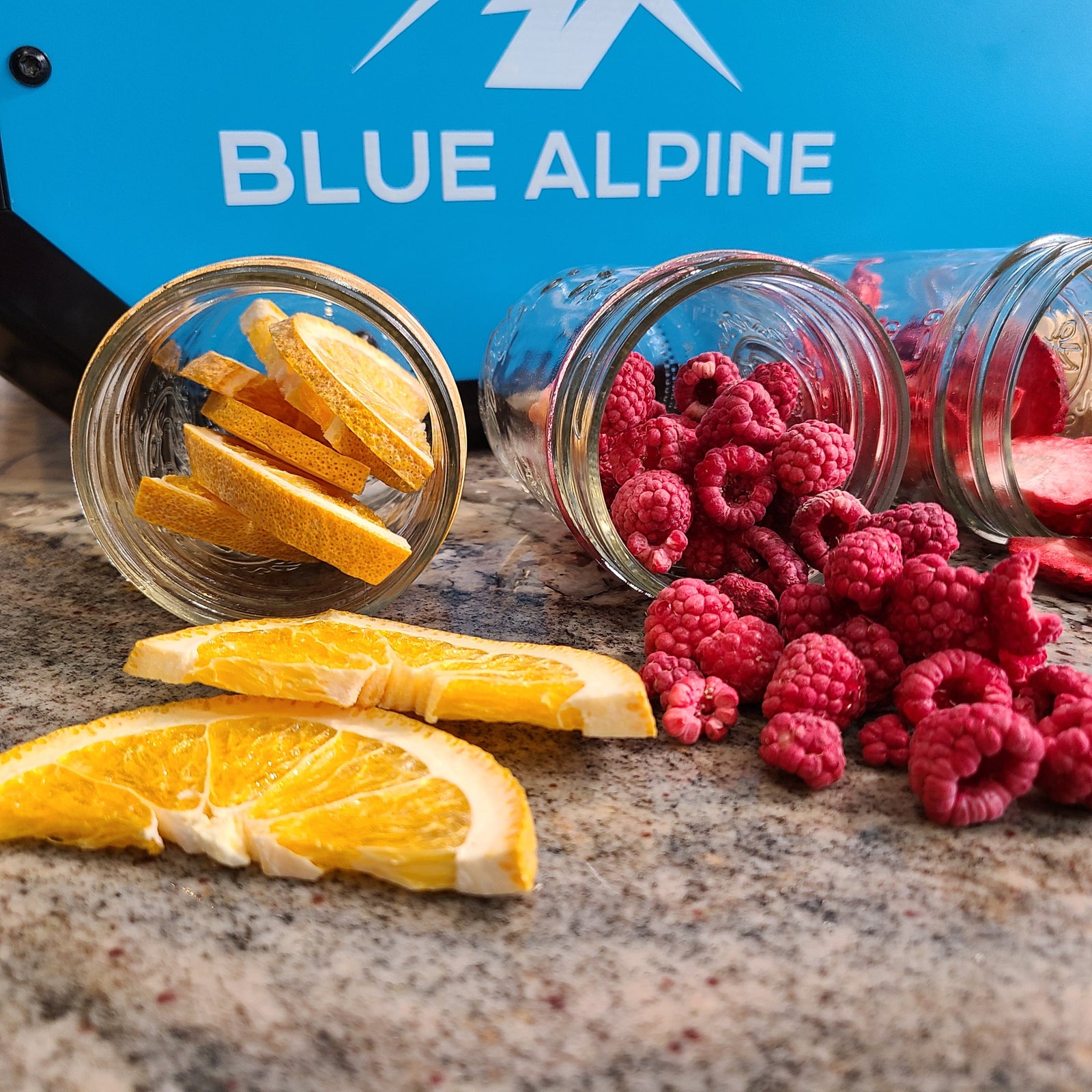 Blue Alpine Medium Elite Freeze Dryer — view 4